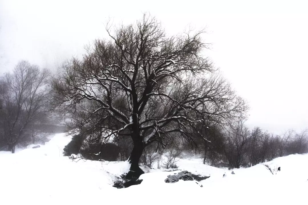 نمونه کار عکاسی اشکان غفاری