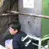 نمونه کار پویا حسنی