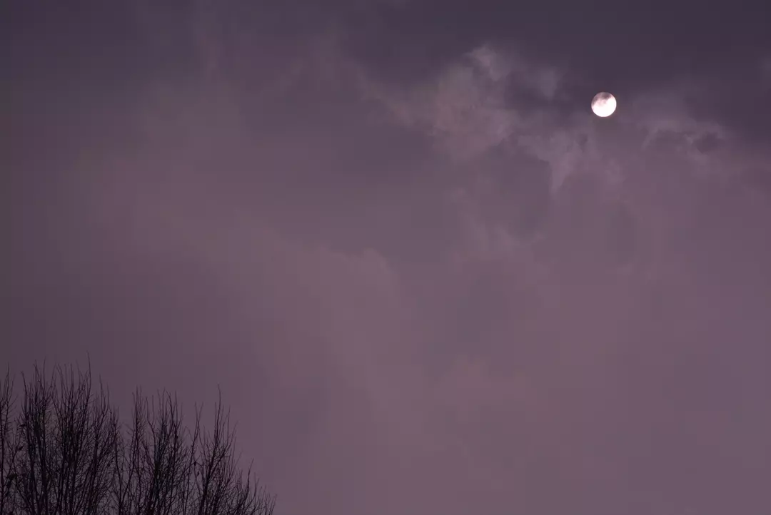 نمونه کار عکاسی لیلا فرخ پی