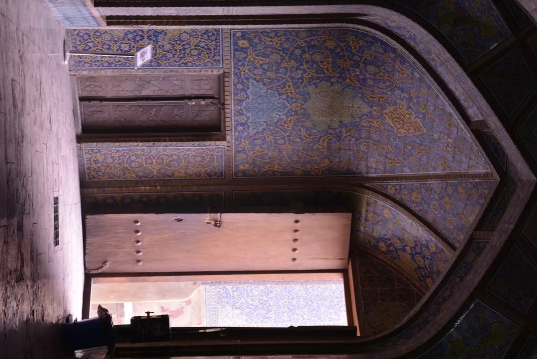 نمونه کار عکاسی لیلا فرخ پی