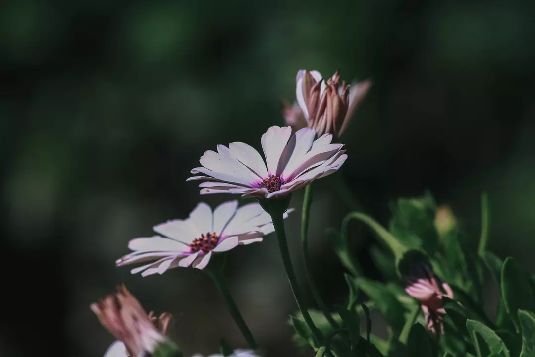 نمونه کار عکاسی مهشاد فرشیدفر