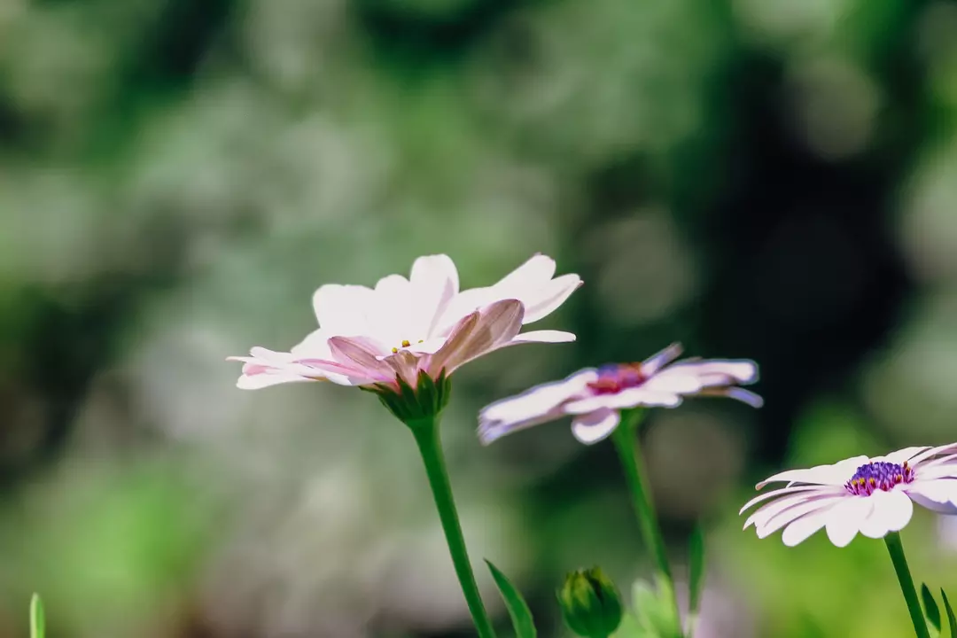 نمونه کار عکاسی مهشاد فرشیدفر