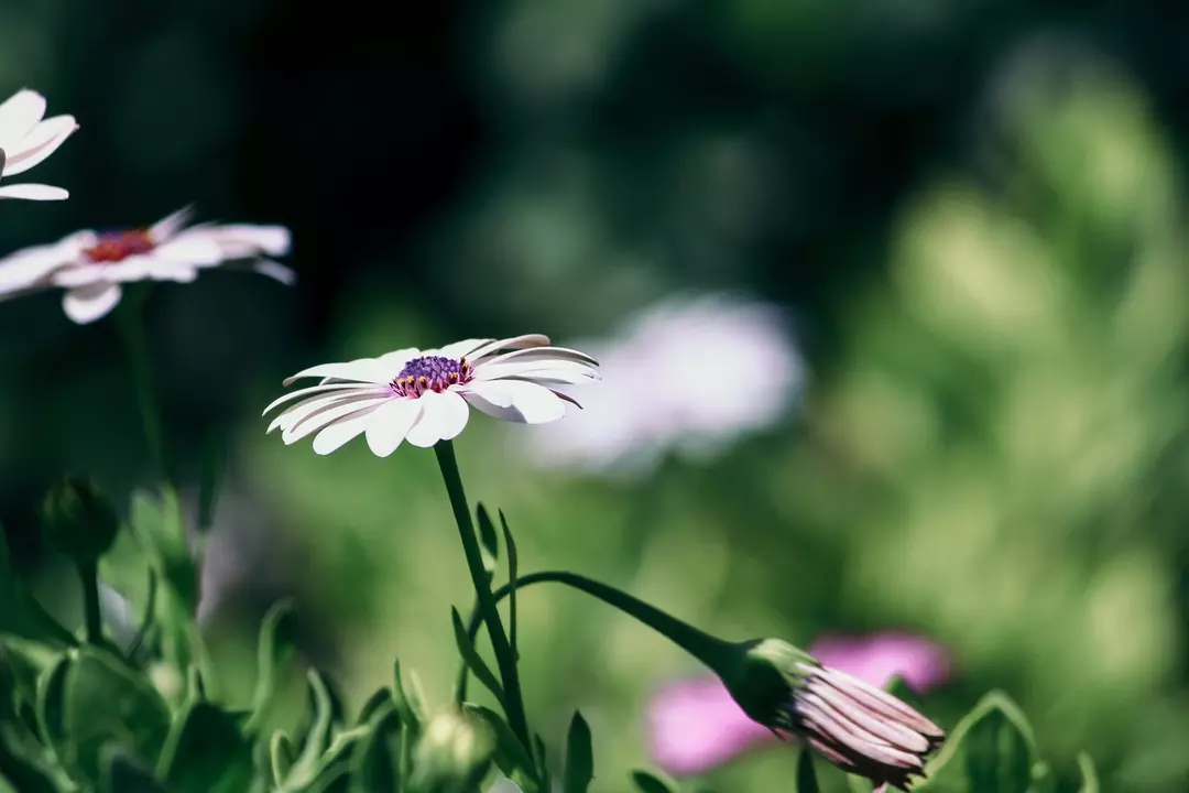 نمونه کار عکاسی مهشاد فرشیدفر
