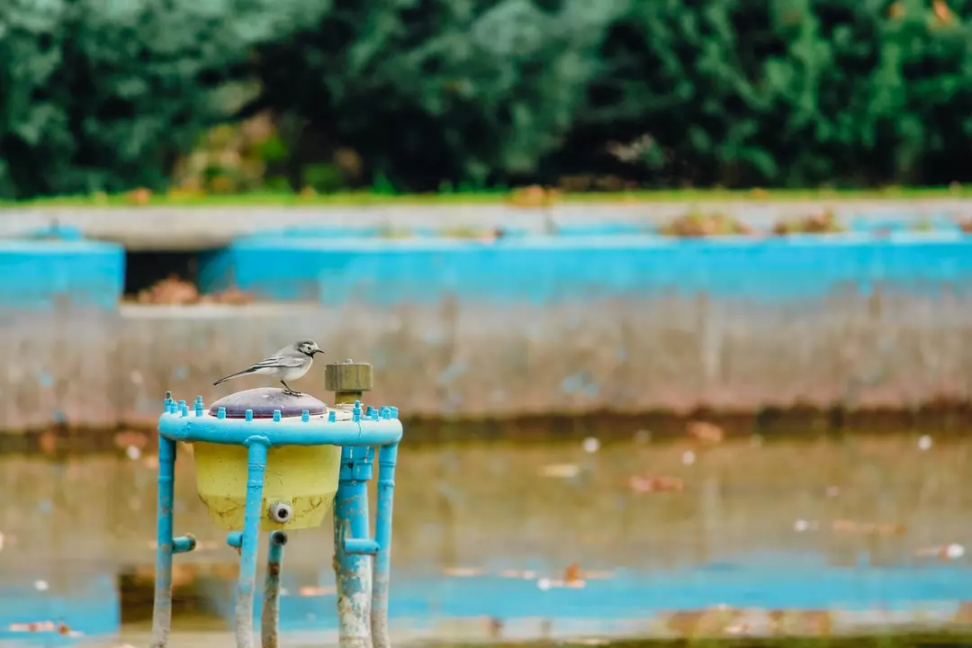نمونه کار عکاسی مهشاد فرشیدفر