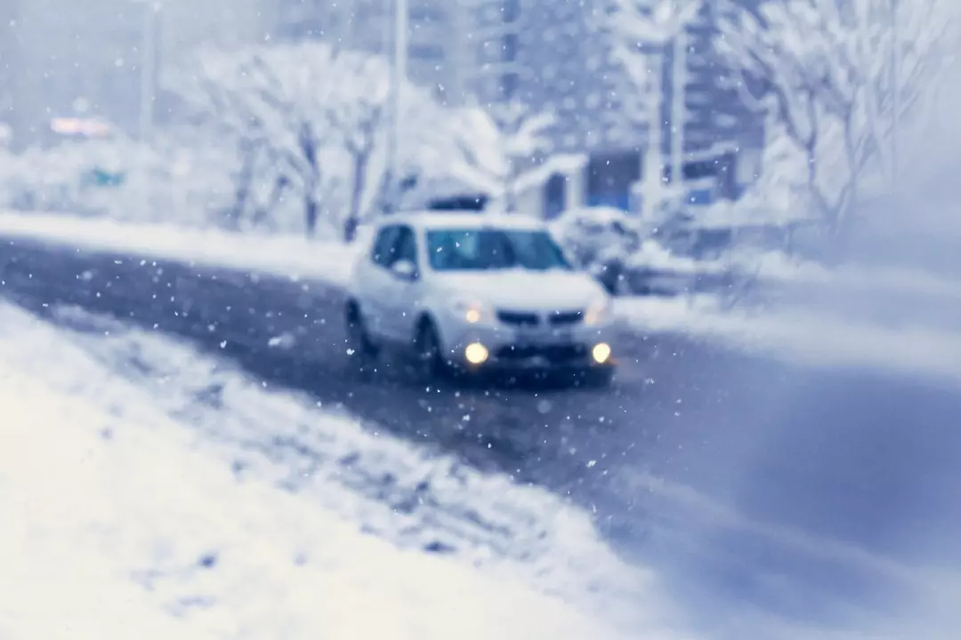 نمونه کار عکاسی مهشاد فرشیدفر