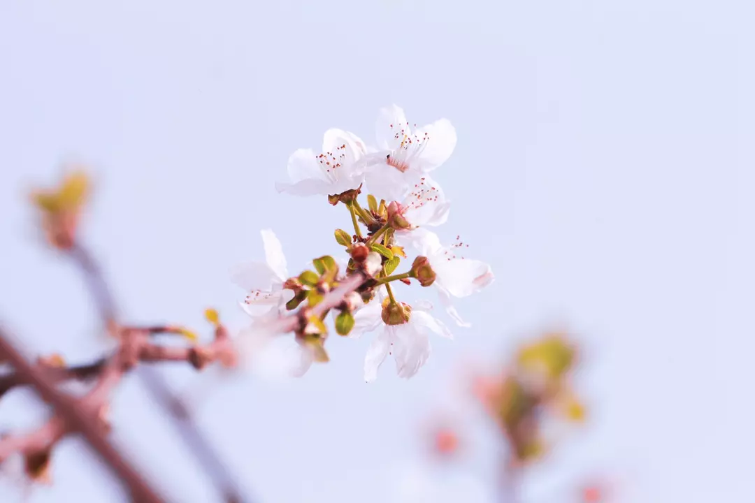نمونه کار عکاسی مهشاد فرشیدفر