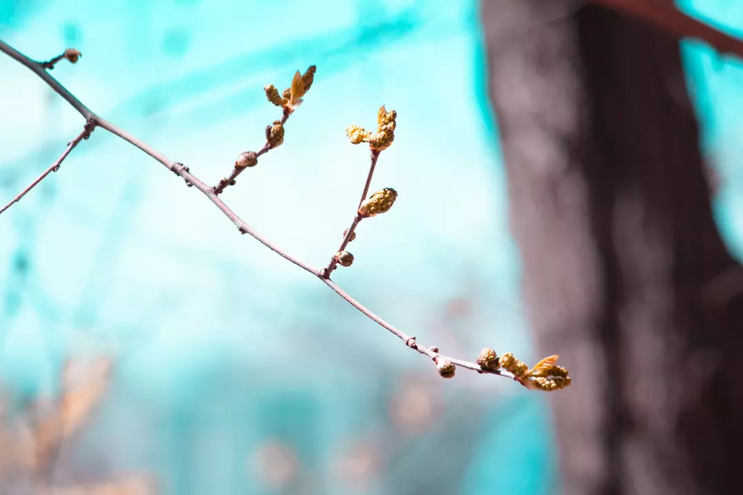 نمونه کار عکاسی مهشاد فرشیدفر