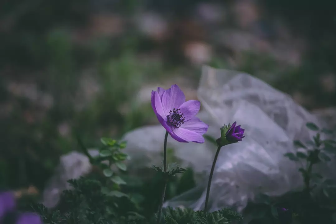 نمونه کار عکاسی مهشاد فرشیدفر