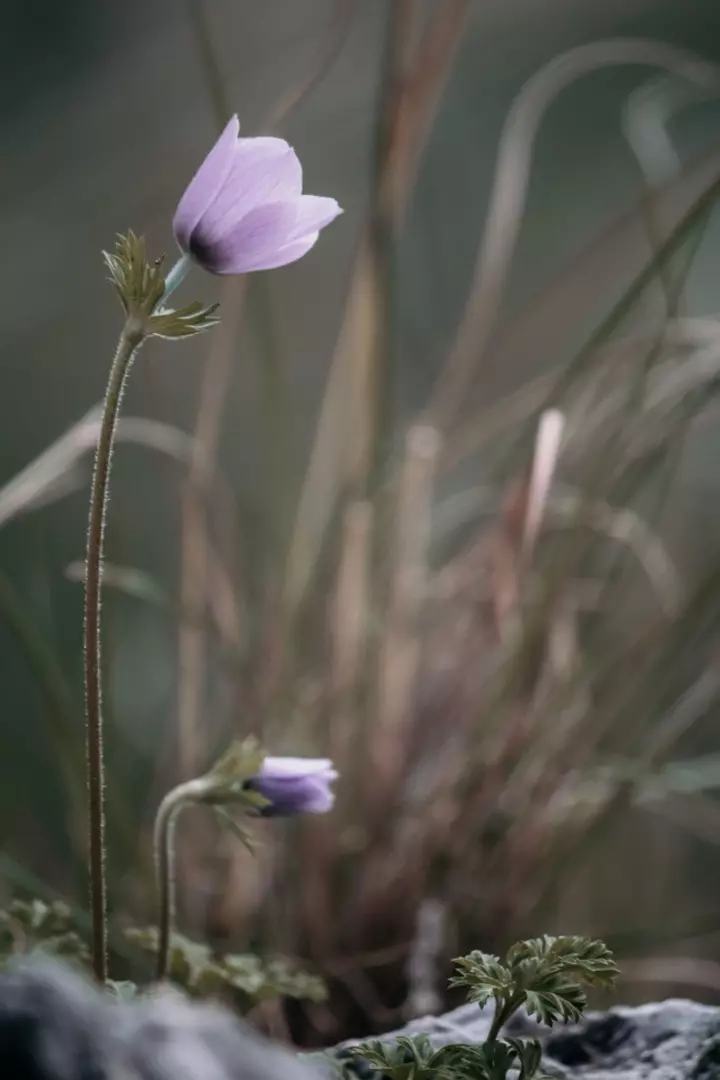 نمونه کار عکاسی مهشاد فرشیدفر