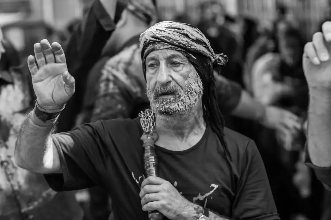 نمونه کار از سیاوش باقری