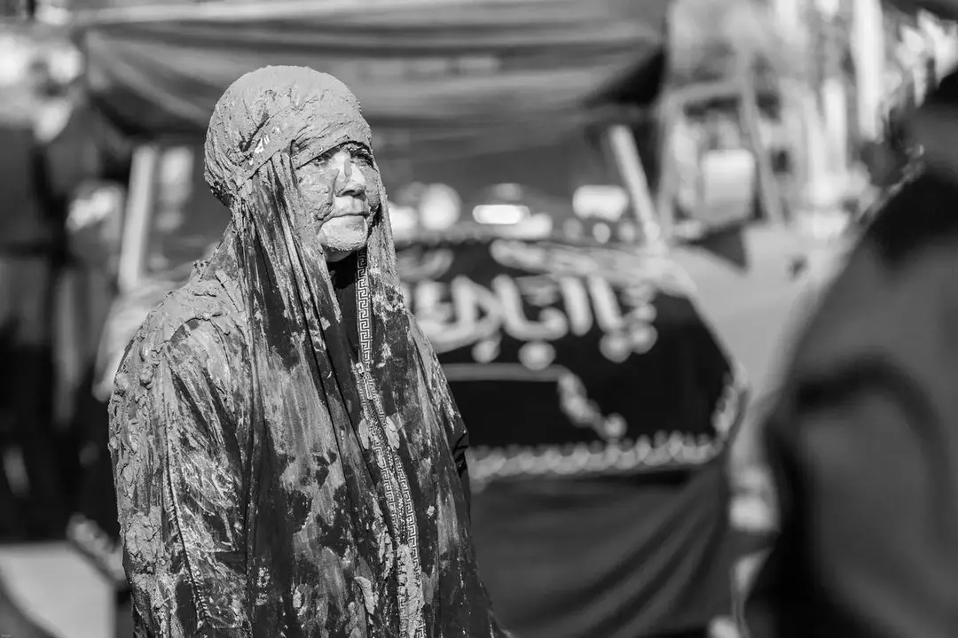 نمونه کار از سیاوش باقری