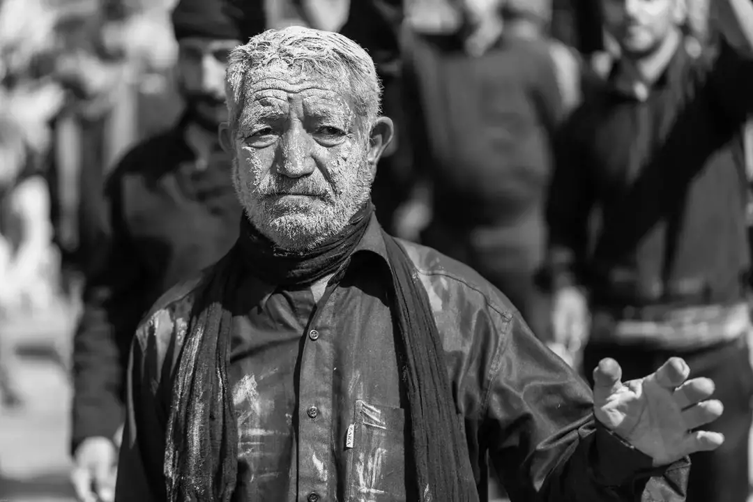 نمونه کار از سیاوش باقری