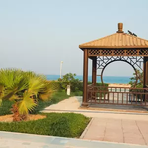 نمونه کار