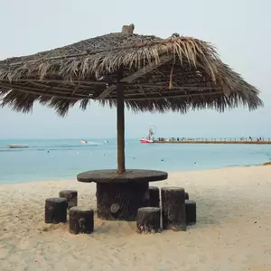 نمونه کار
