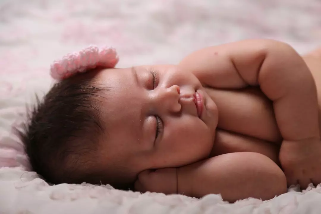 نمونه کار از شایان میرزایی