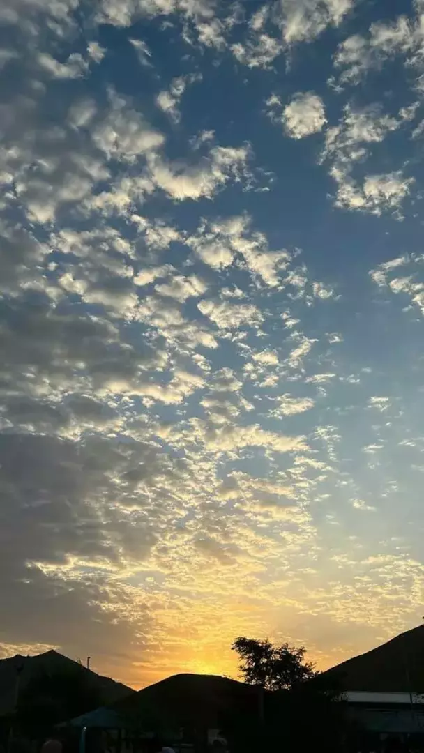 نمونه کار عکاسی سفر و گردشگری توسط توکلی که در تاریخ 1402-01-25 ** جمعه  **  ساعت 05:53PM بارگذاری شده است.