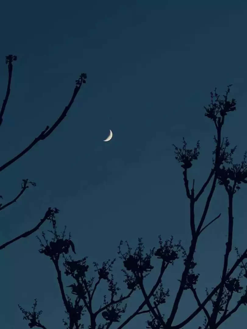 نمونه کار عکاسی سفر و گردشگری توسط توکلی که در تاریخ 1402-01-25 ** جمعه  **  ساعت 05:53PM بارگذاری شده است.