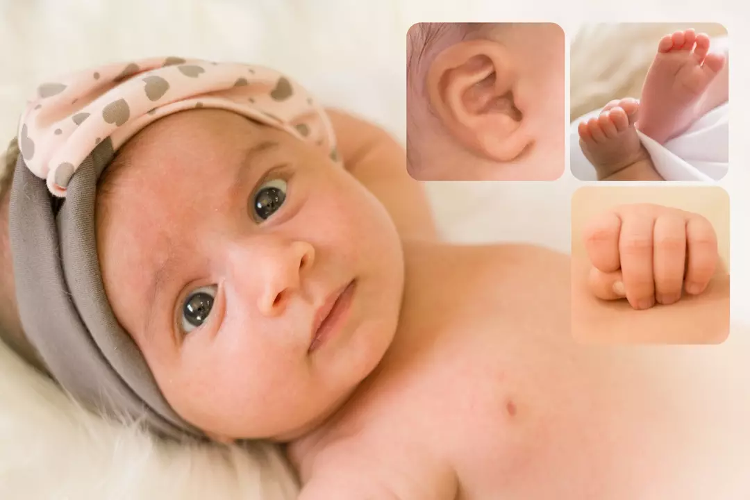 نمونه کار عکاسی پروین  مقصودیان