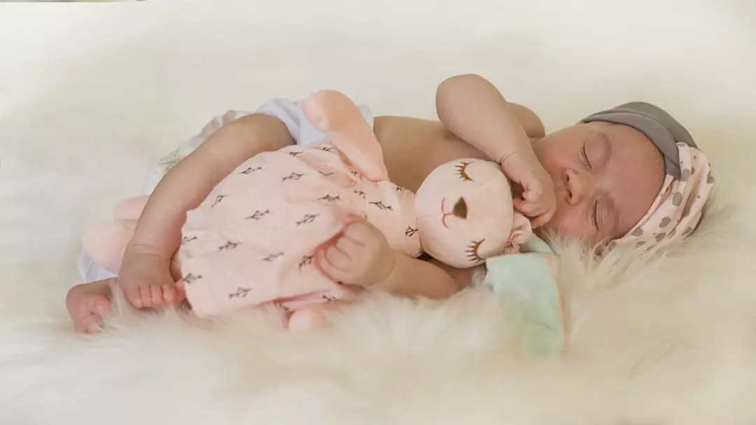 نمونه کار عکاسی پروین  مقصودیان