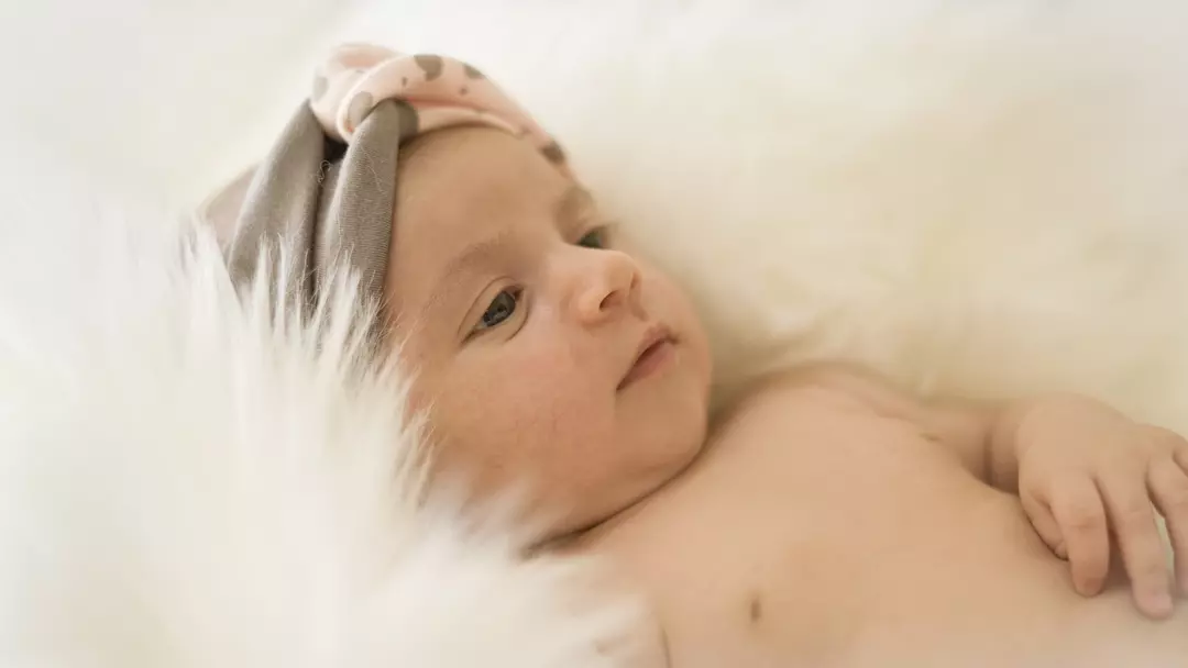 نمونه کار عکاسی پروین  مقصودیان