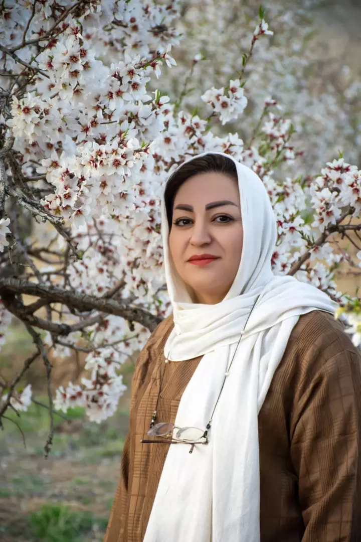 نمونه کار از حانیه کاظمی