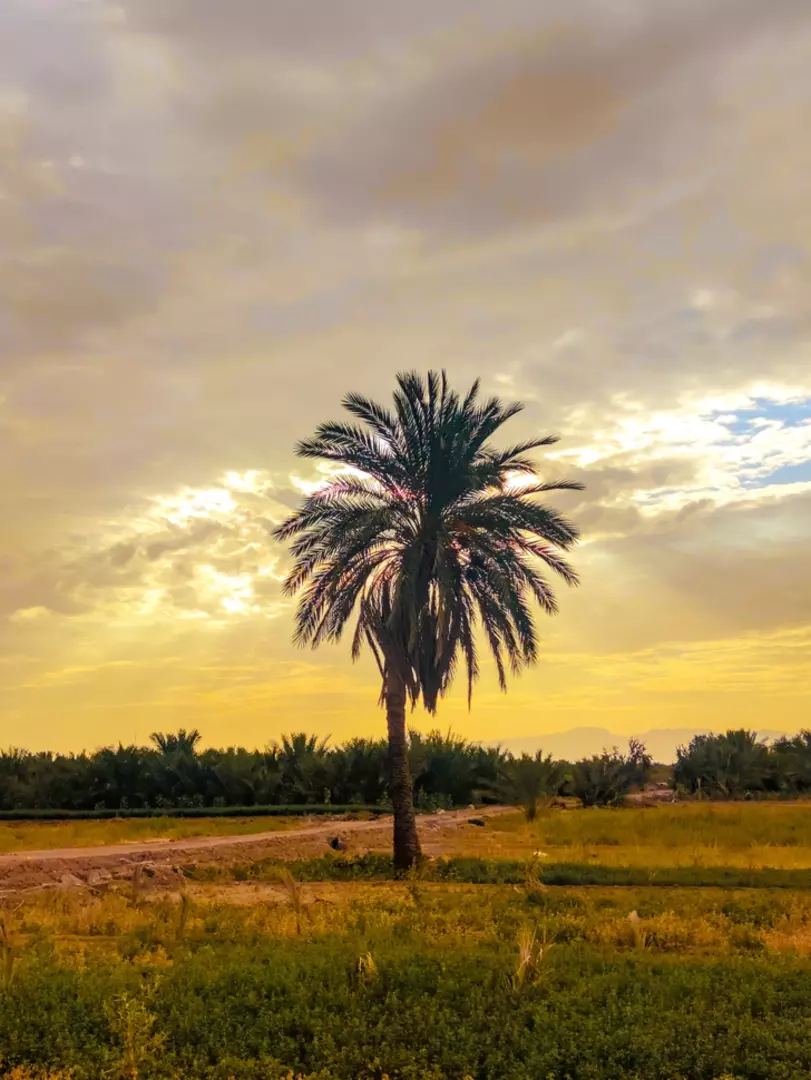نمونه کار عکاسی محمدمهدی دهباشی