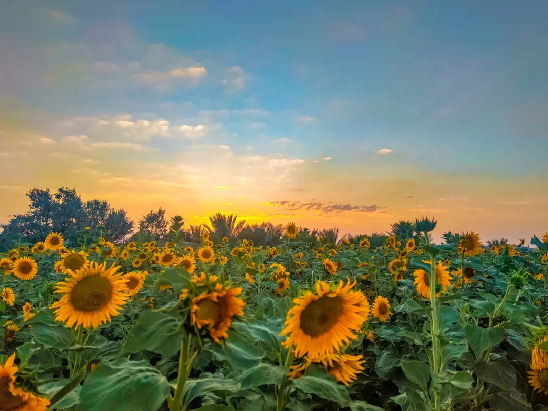 نمونه کار عکاسی محمدمهدی دهباشی