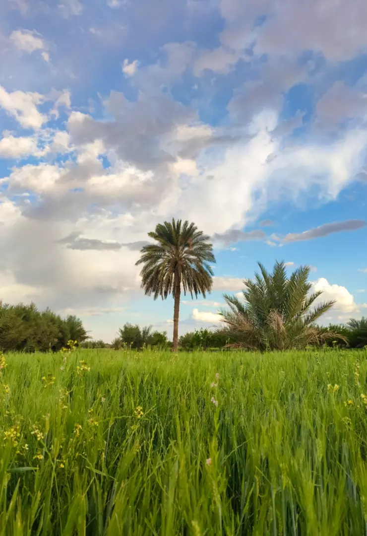 نمونه کار عکاسی محمدمهدی دهباشی