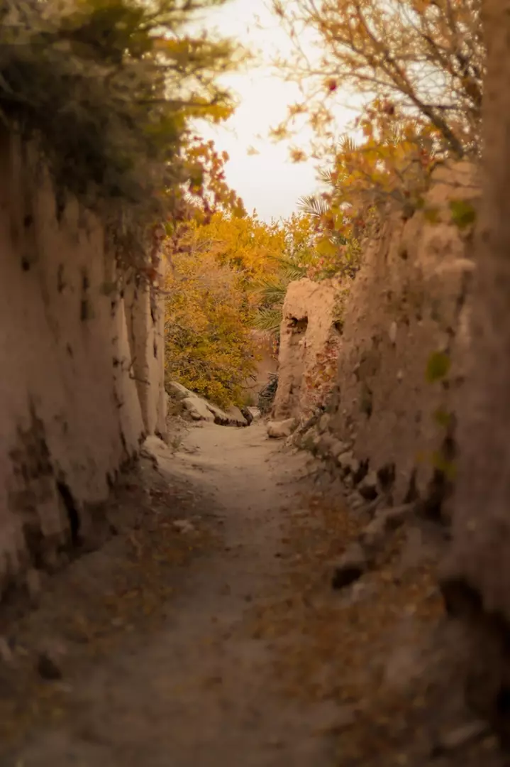 نمونه کار عکاسی محمدمهدی دهباشی