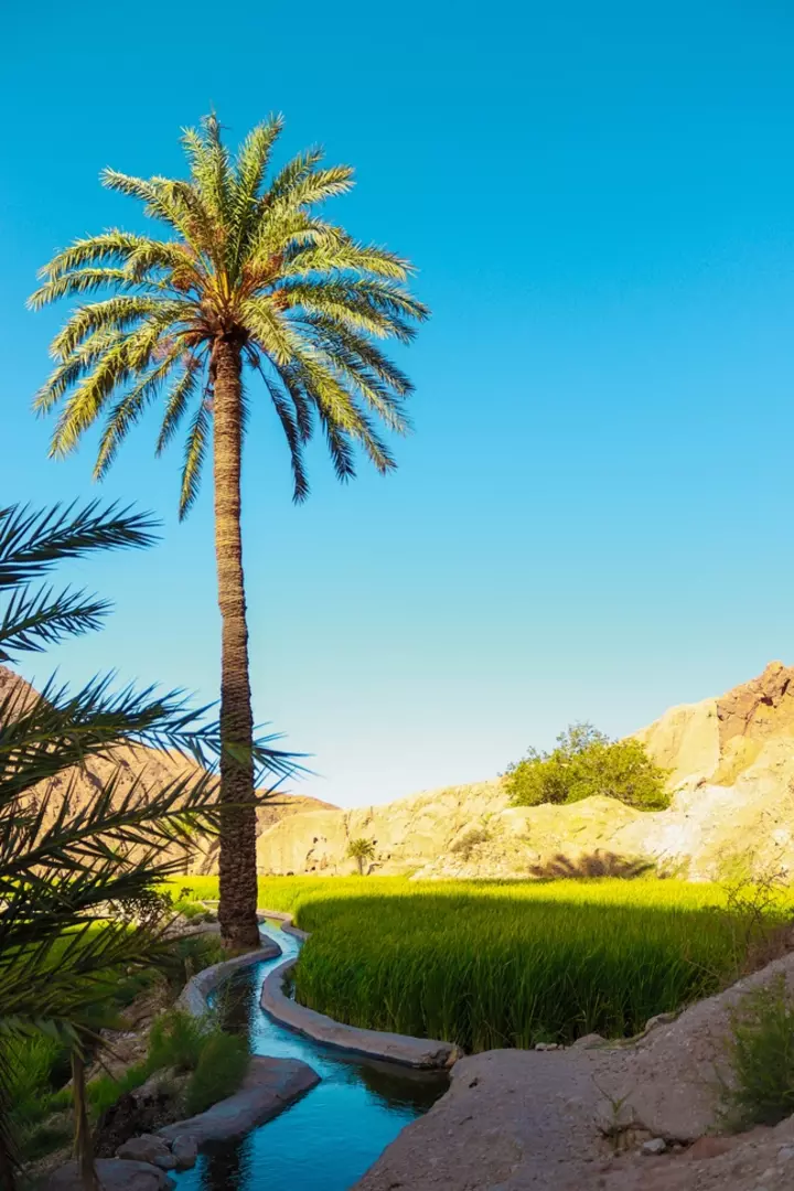 نمونه کار عکاسی محمدمهدی دهباشی