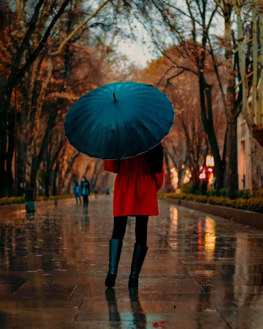 نمونه کار عکاسی محمدمهدی دهباشی