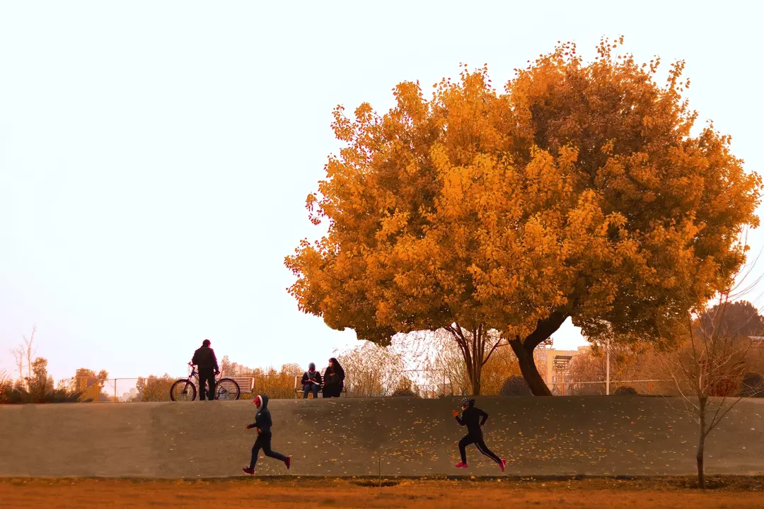 نمونه کار عکاسی محمدمهدی دهباشی