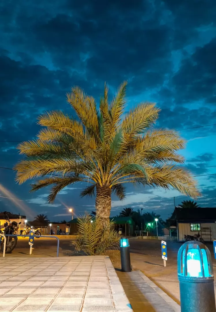 نمونه کار عکاسی محمدمهدی دهباشی