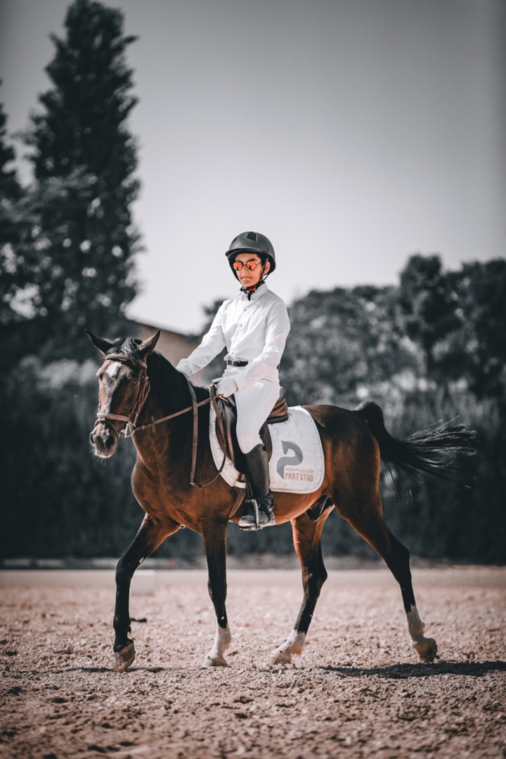 نمونه کار از امیرحسین  فلاح