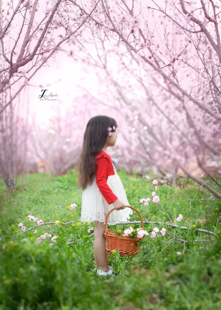 نمونه کار عکاسی زهرا عابدی