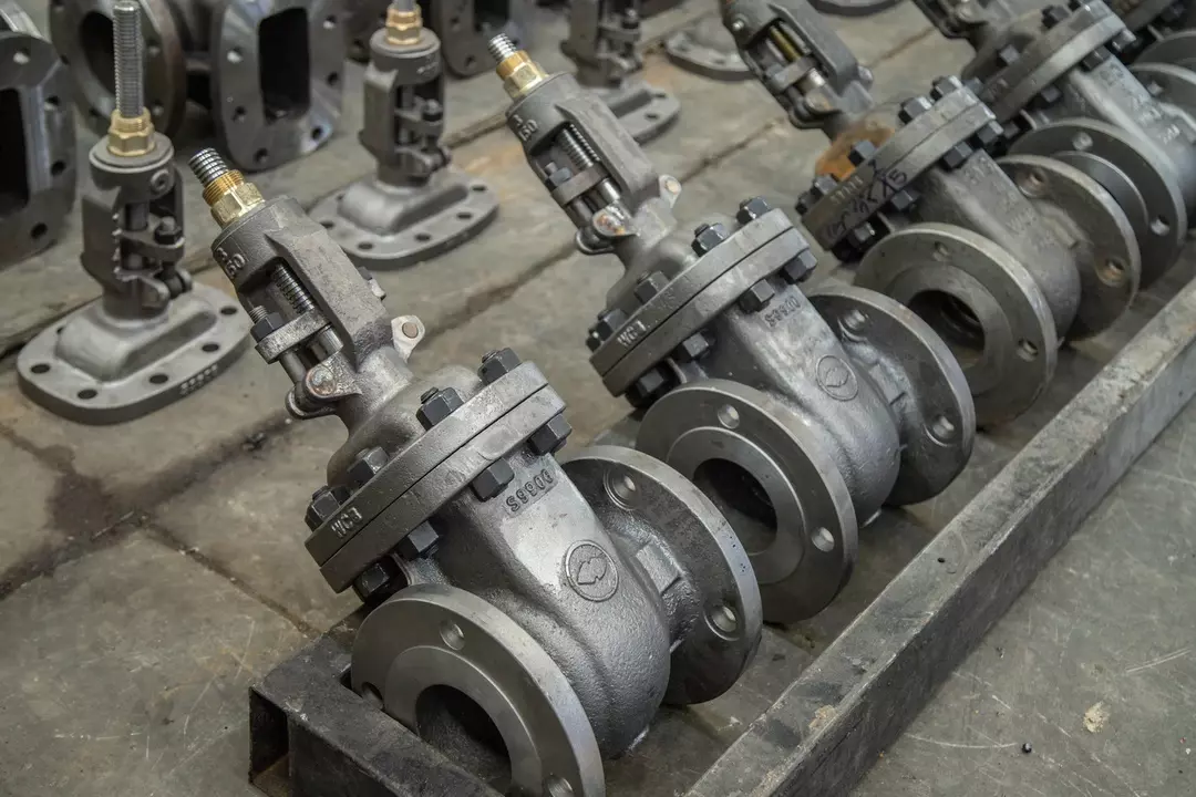 نمونه کار عکاسی یاسر زارع