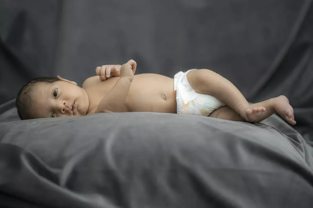 نمونه کار عکاسی سید رضا امیری نائینی