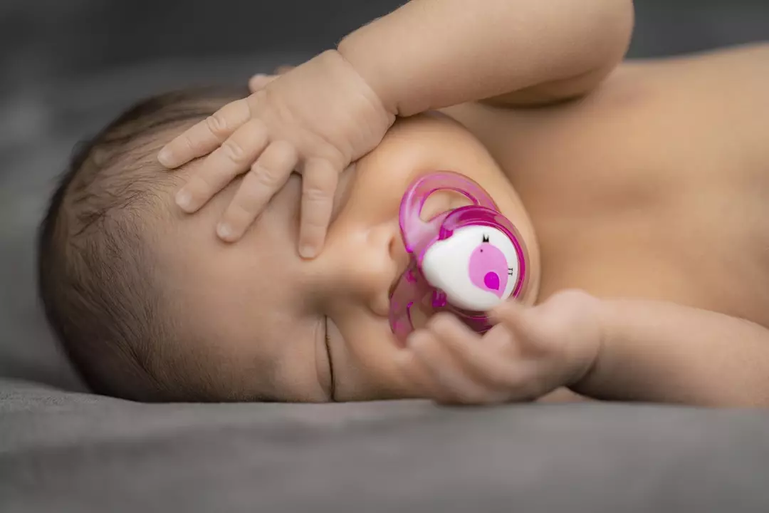 نمونه کار عکاسی سید رضا امیری نائینی