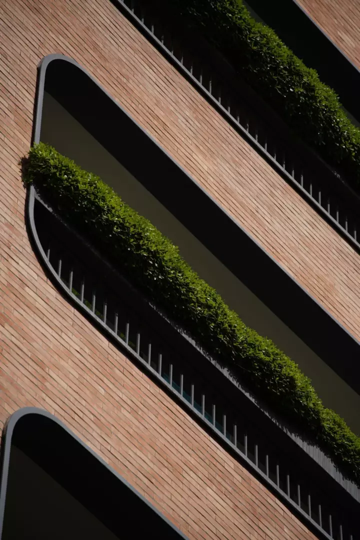 نمونه کار عکاسی سید رضا امیری نائینی