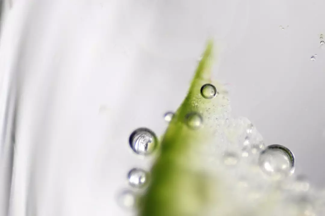 نمونه کار عکاسی علی جباری