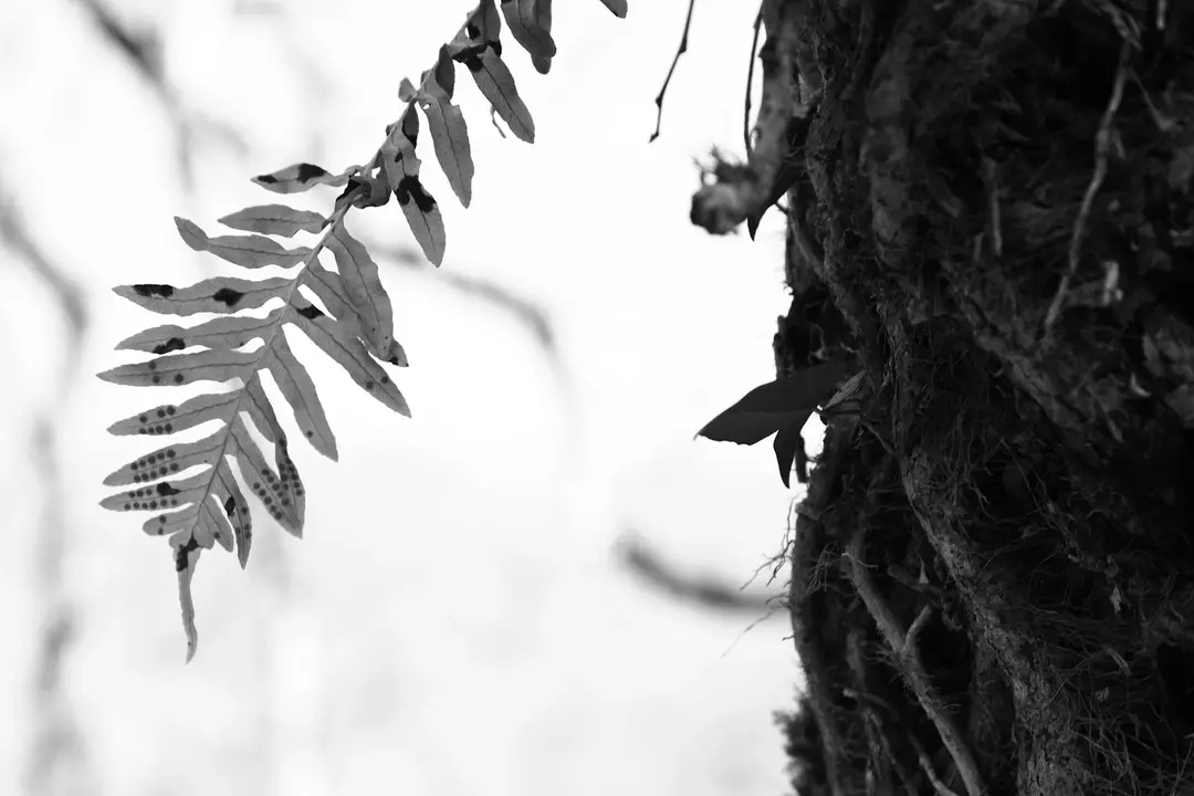 نمونه کار عکاسی یکتا پاشایی 