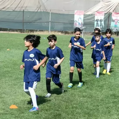 نمونه کار