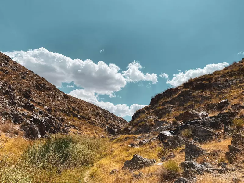نمونه کار عکاسی نسرین  بیات