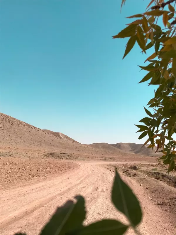 نمونه کار عکاسی مناظر توسط بیات که در تاریخ 1402-06-06 ** دوشنبه  **  ساعت 02:43AM بارگذاری شده است.