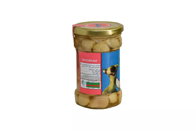 نمونه کار عکاسی فرزانه عطایی