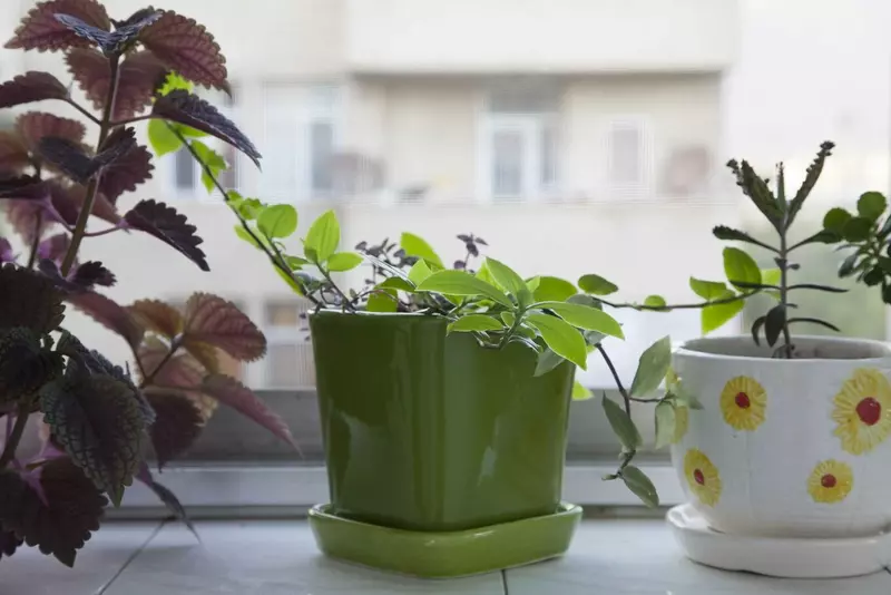 عکاسی مناظر از بهناز شیخانیان