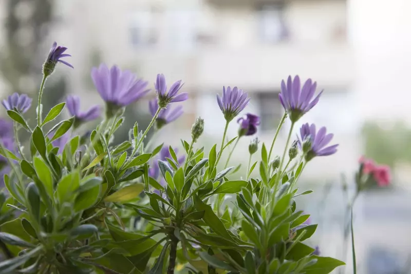 عکاسی مناظر از بهناز شیخانیان