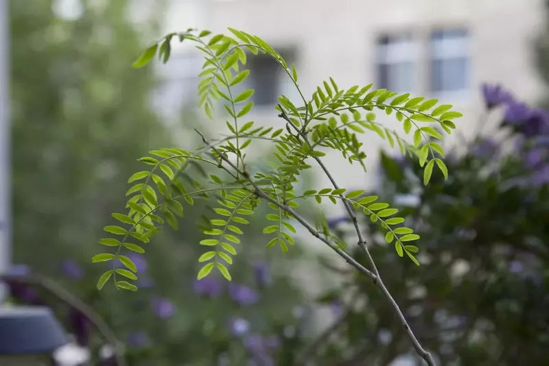 عکاسی مناظر از بهناز شیخانیان