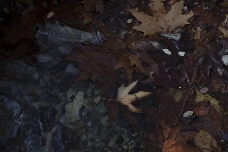 عکاسی مناظر از بهناز شیخانیان