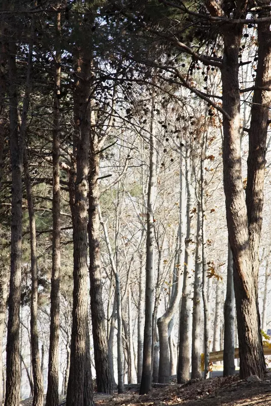 عکاسی مناظر از بهناز شیخانیان